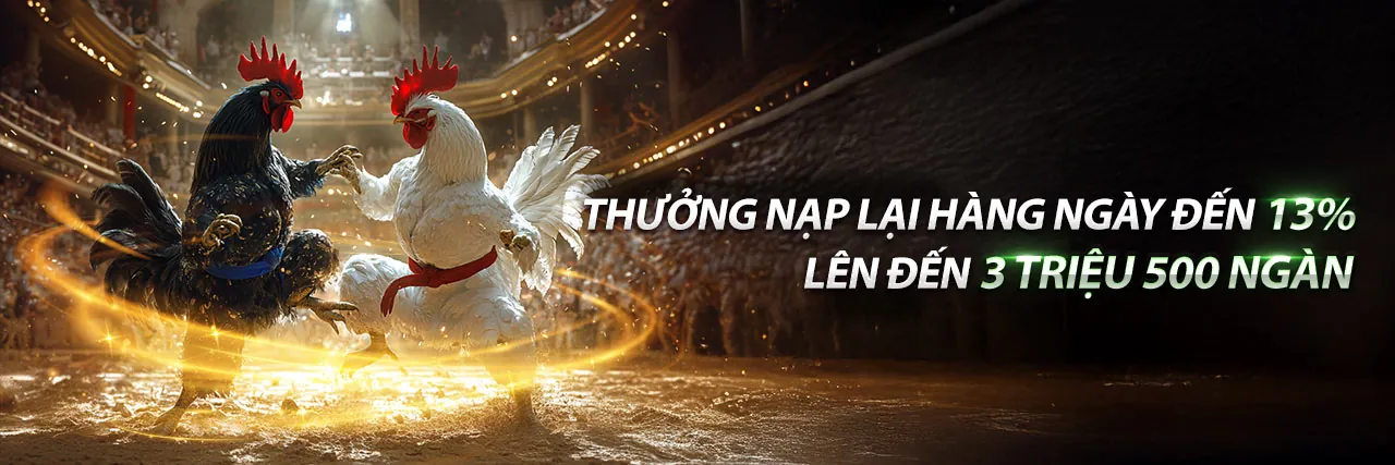 Đá Gà Trực Tuyến Bet8888